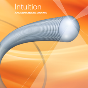 Intuition Guidwire