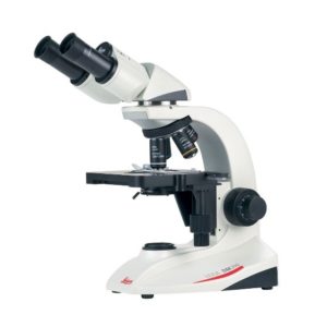 Microscope DM 300