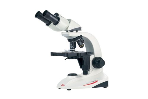 Microscope DM 300